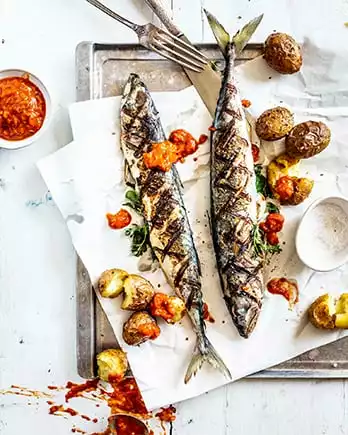 Der Schriftzug „Fisch & Meeresfrüchte” auf einem Foto von zwei Makrelen mit Tomaten-Dip.